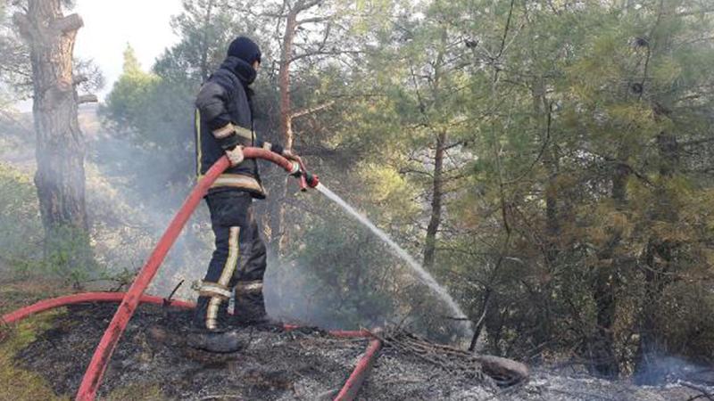 Bursa ve Arnavutköyu’de orman yangınları