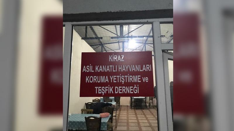 Kanatlı hayvanları koruma derneğinde horoz dövüştürüldüğü ortaya çıktı