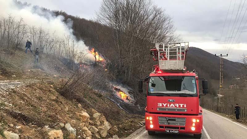 Karadeniz'deki yangınlar 71 noktada sürüyor; 7 kişi hakkında soruşturma başlatıldı 