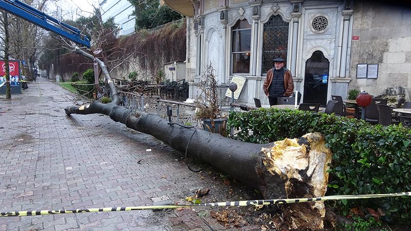 Beyoğlu'nda devrilen ağaç tarihi çeşmeye zarar verdi