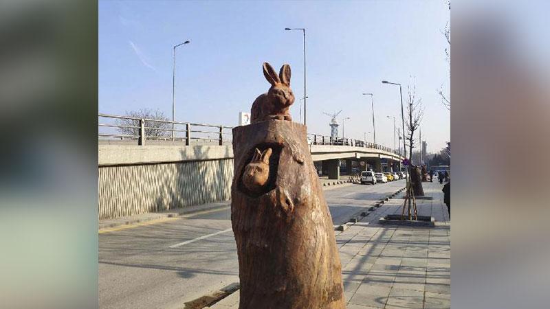 Ankara'da kuru ağaçlar sanat eserine dönüşüyor