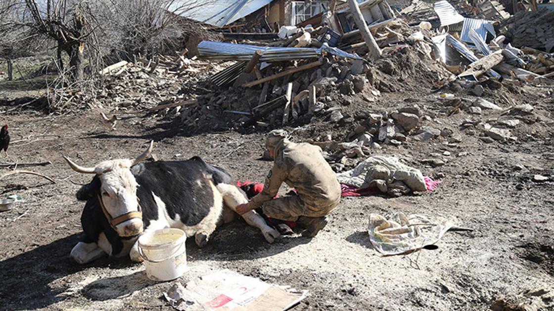 Elazığ depremi Çevrimtaş Köyü'nü yok etti