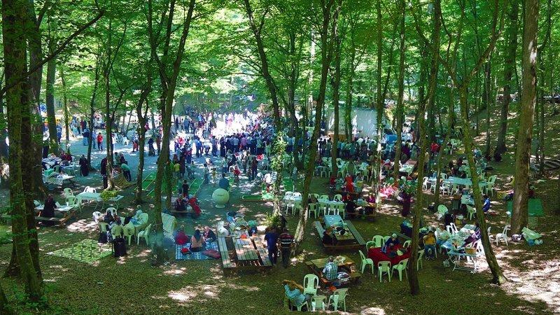 Bakanlıktan Koronavirüs önlemi: Piknik ve mangal yapmak yasaklandı