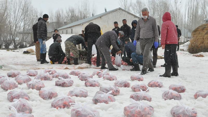 Koronavirüs'ün defedilmesi için 70 kurban kestiler!