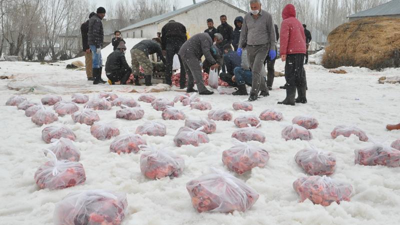 Koronavirüs salgınının bitmesi için 70 kurban kestiler