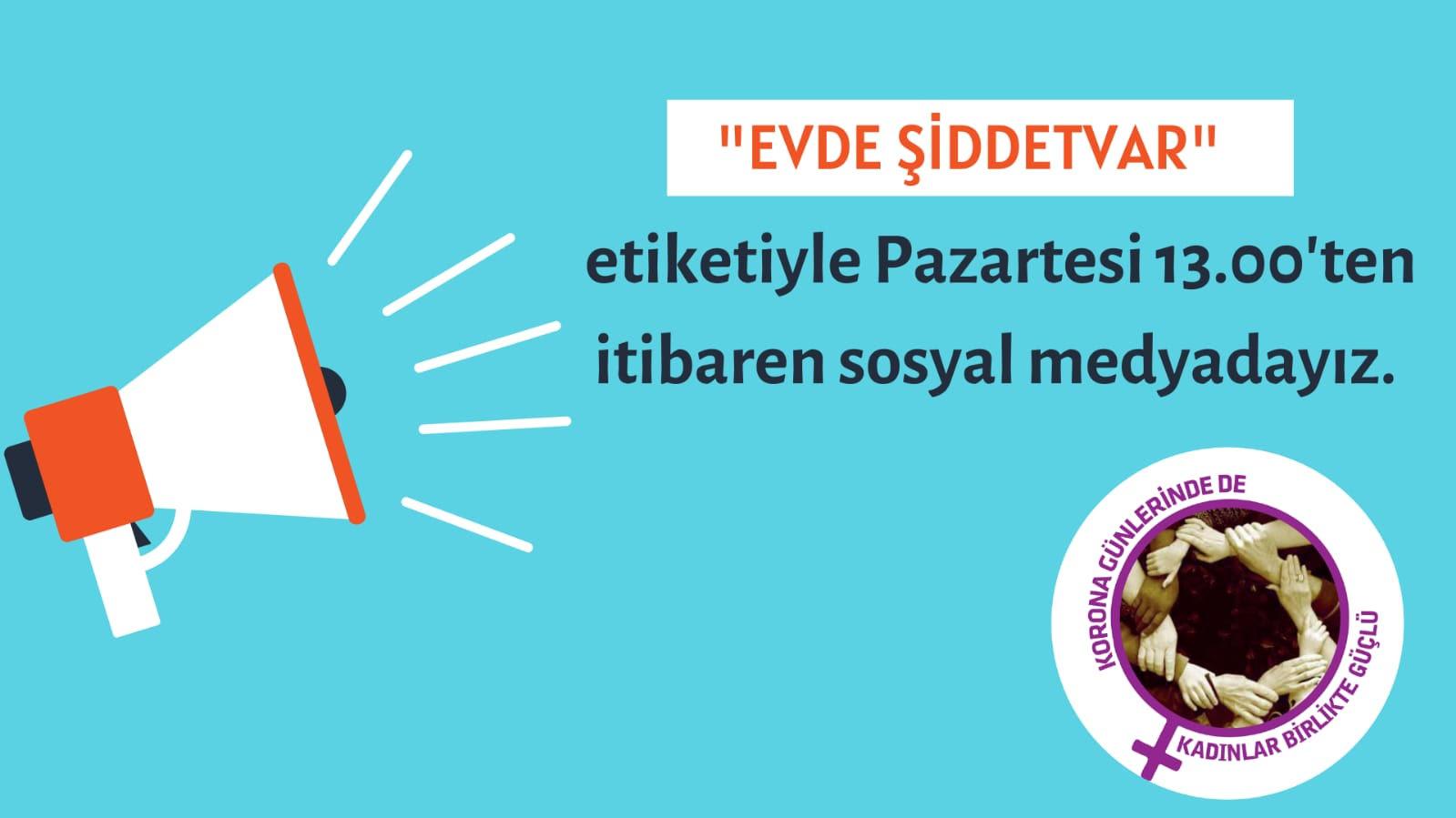 160 kadın ve LGBTİ+ örgütünden kampanya: Evde şiddet var!