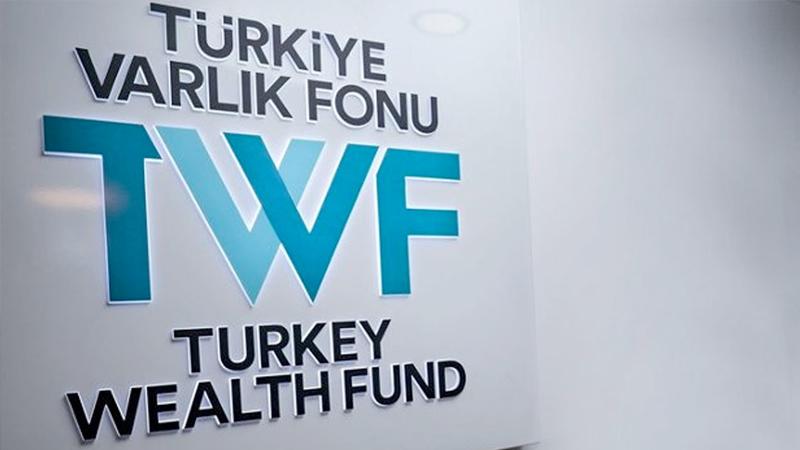 Türkiye Varlık Fonu 20 maden sahasını devraldı, 'Maden Holding' kurmaya hazırlanıyor