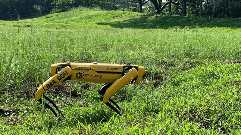 Koronavirüs'e karşı “robot köpek” önlemi