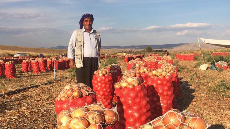 "Üreticinin elinde kalan tonlarca patates ve soğan çürüyor"