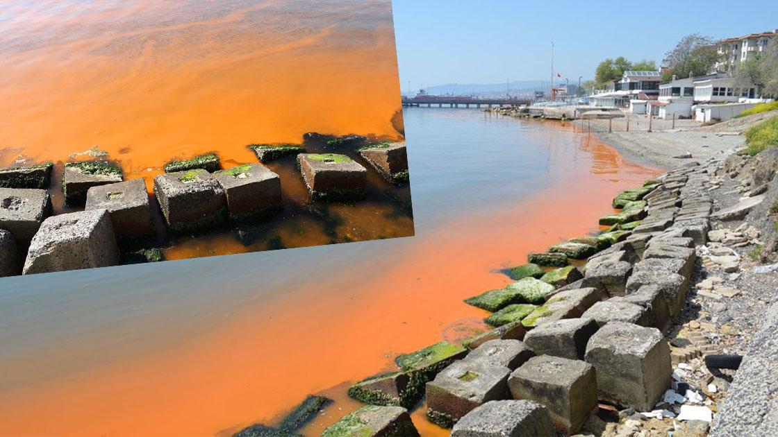 Marmara Denizi yine turuncuya büründü