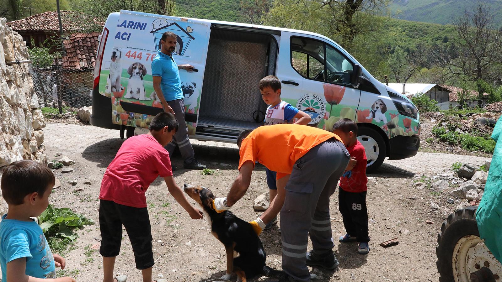 Vefa grubunun yolunu kestiler, iki ayağı kırılan köpekleri için yardım istediler