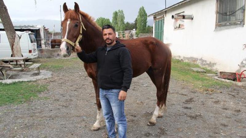 Şampiyon cirit atlarının ahırına girip, bir atın boğazını kestiler