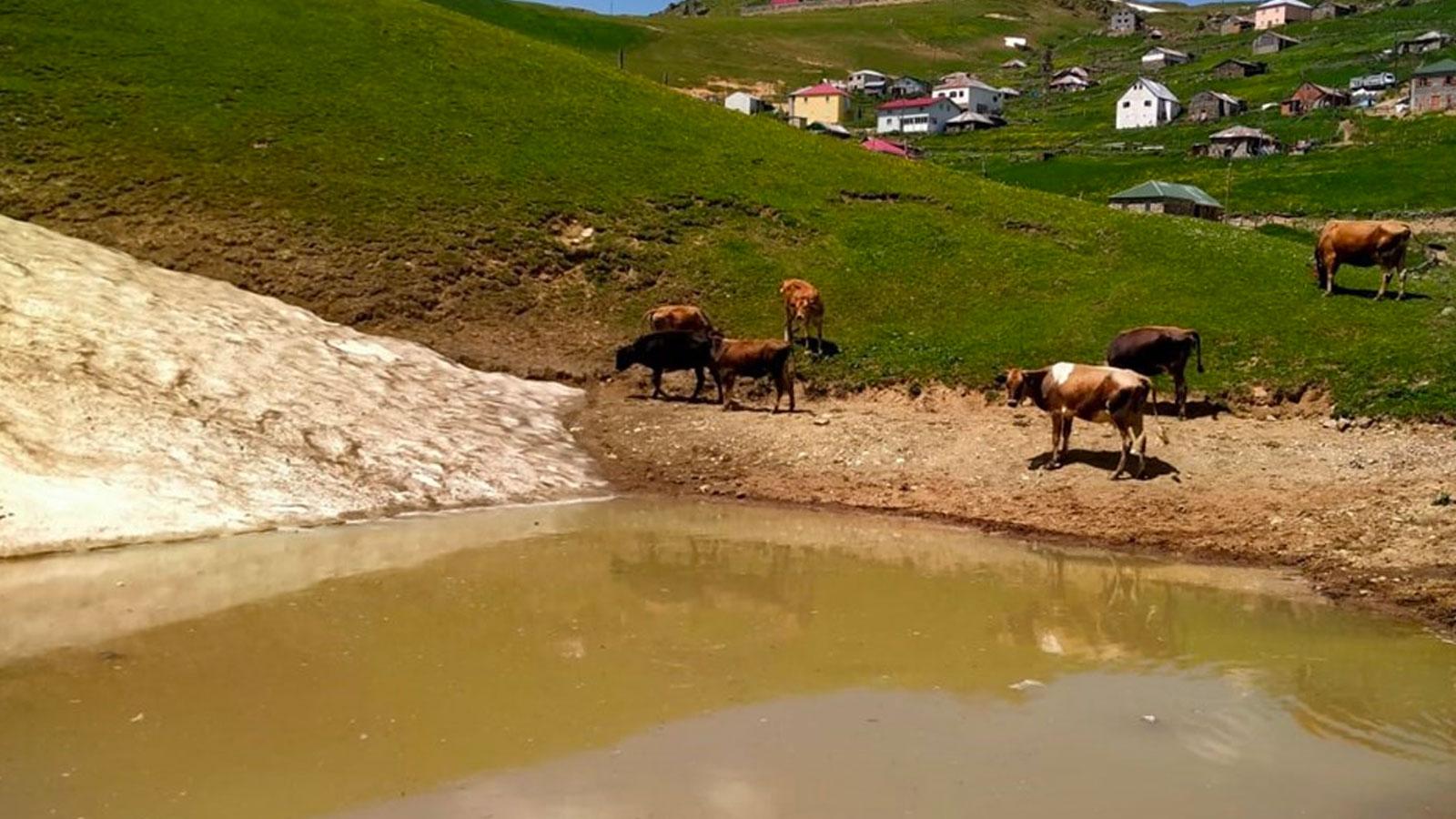 Definecilerin zarar verdiği Dipsiz Göl yeniden su tutmaya başladı 