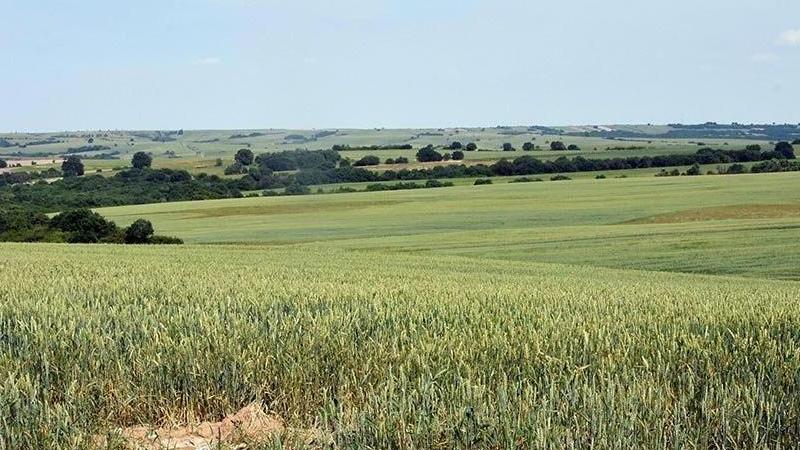 Tarımda ithalata ödenen bedel, tarıma verilen desteklerin tam iki katına çıktı