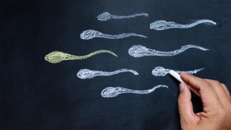 Sperm kalitesi salgın döneminde arttı