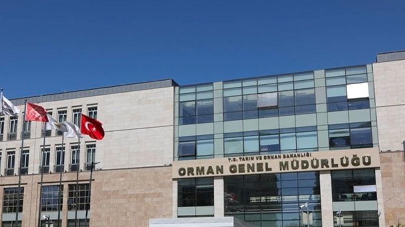 Orman Genel Müdürlüğü'nde tayin dalgası: 213 orman mühendisi ve işletme şefinin görev yeri değişti