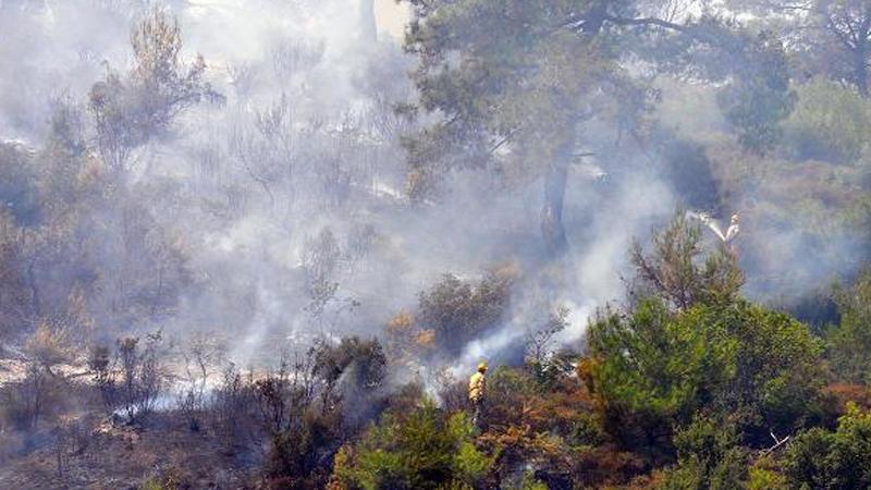 Manisa'da 3 gün süren yangında 300 hektarlık orman küle döndü