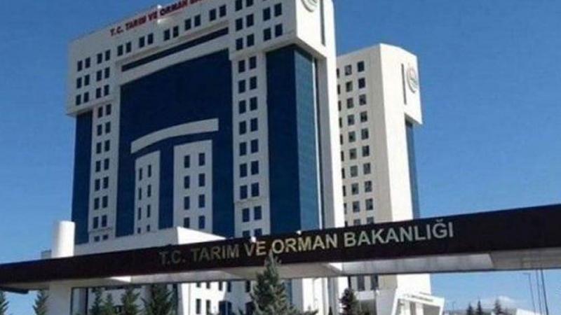 Tarım ve Orman Bakanlığı'nda 131 bin liralık araç zararı