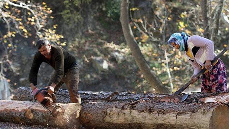 Orman köylülerine kullandırılan kredilerde faiz kaldırıldı