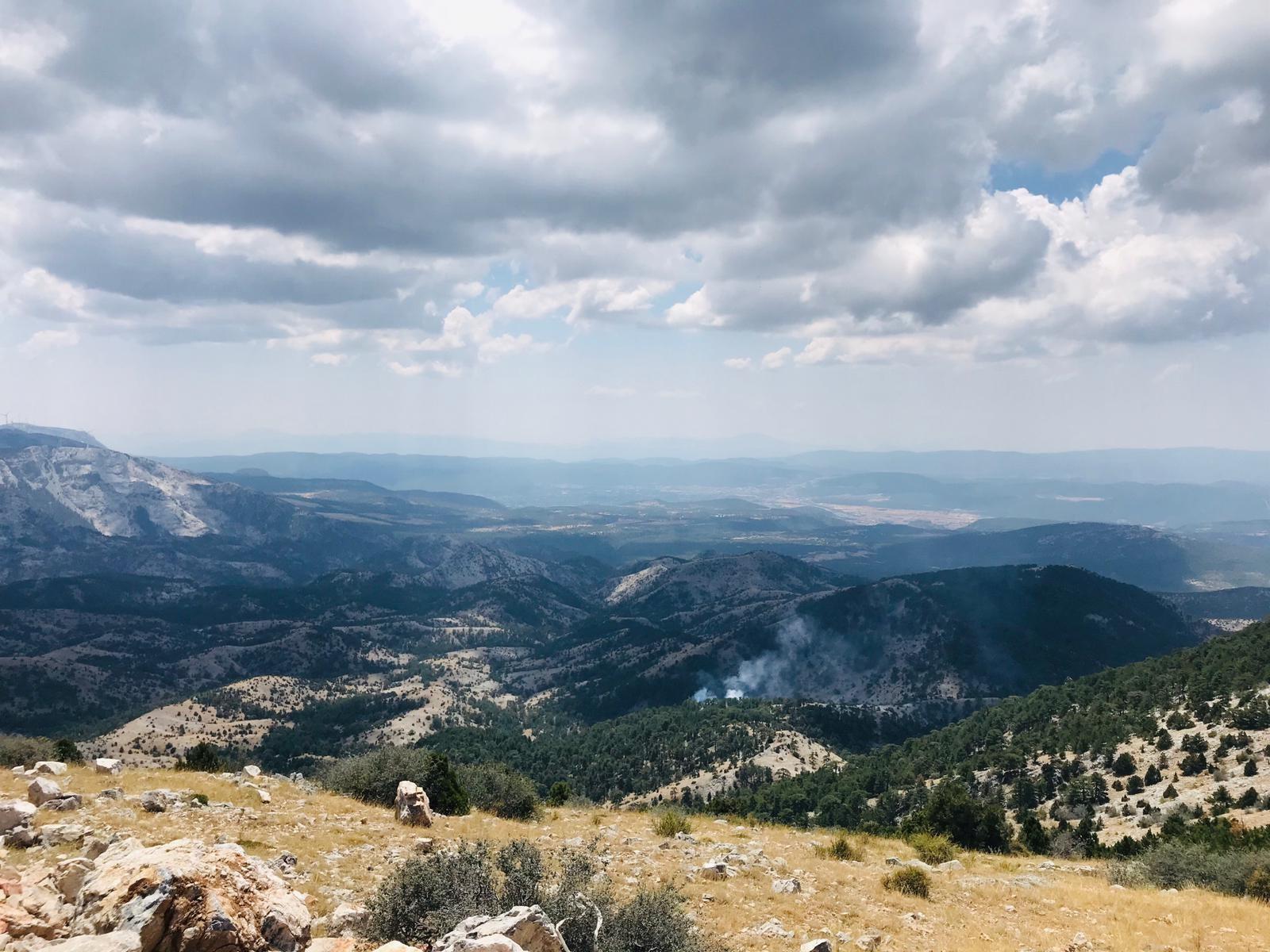 Muğla'da orman yangını 