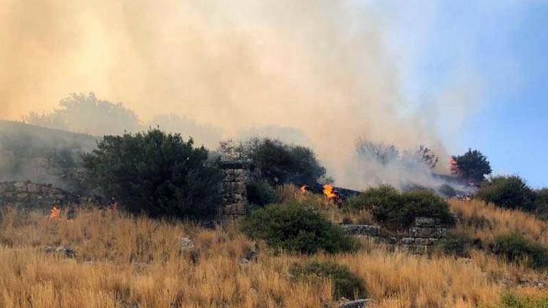 UNESCO listesine giren Priene Antik Kenti'nde yangın