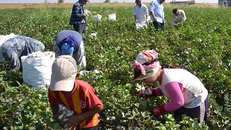 Devamsızlık yapan öğrencilerin oranı yüzde 50'yi aştı