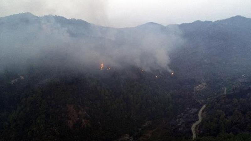 Antakya’da orman yangınına müdahale devam ediyor