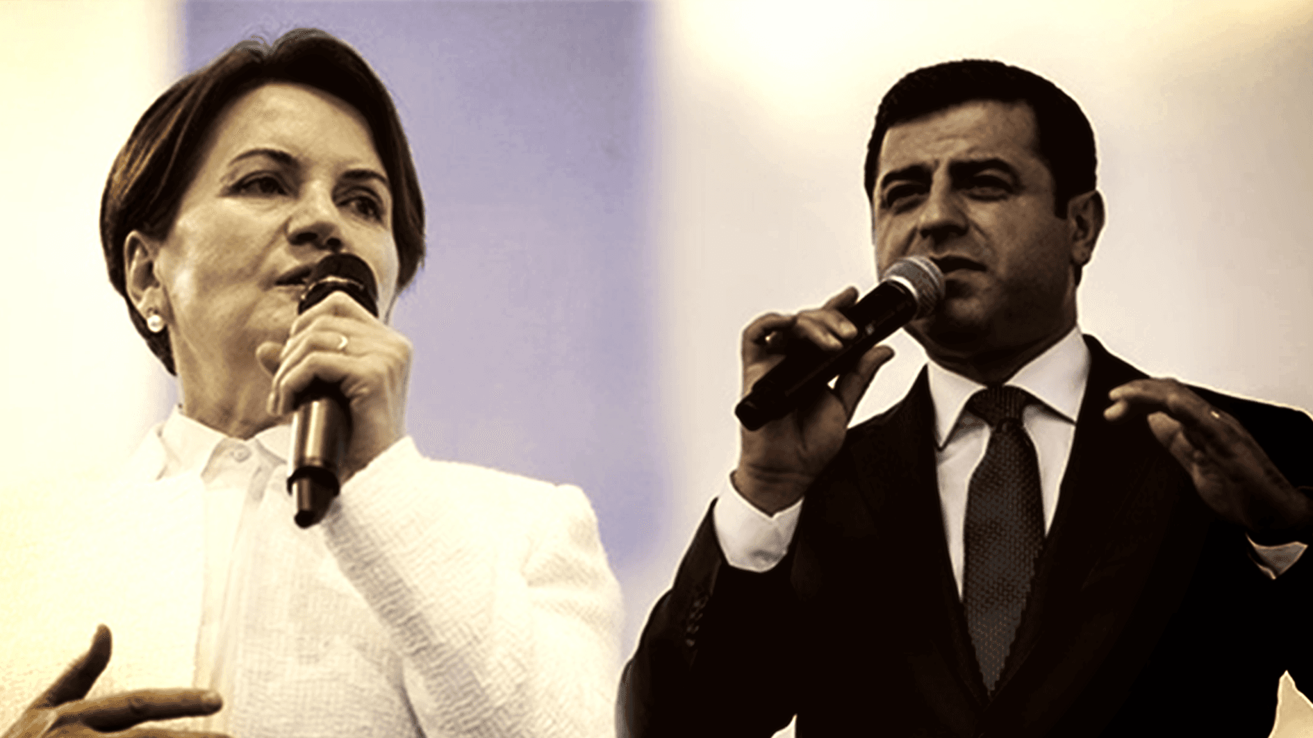 Selahattin Demirtaş'tan Meral Akşener'in, "Kan davalınız bile olsa içeri alırsınız" sözlerine yanıt