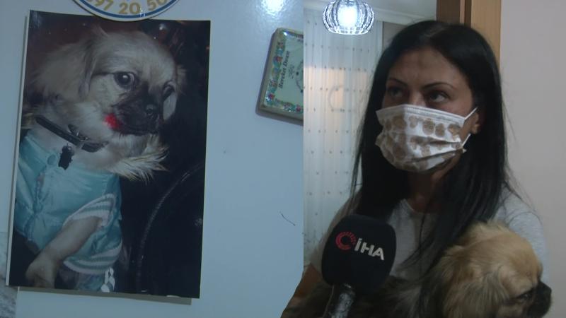  “Ya seni öldürürüm ya da sevdiklerine zarar veririm” demişti; şikâyetini geri çekmeyince köpeğini camdan attı!