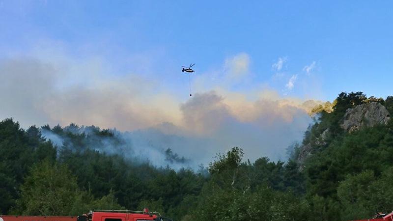 Adana'da orman yangını 3. gününde: Havadan müdahale tekrar başladı