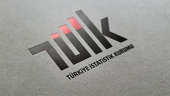 TÜİK enflasyondan sonra işsizlik için de ekonomistlerden danışma kurulu oluşturdu