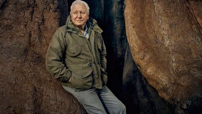 İklim krizine dikkat çekmek için Instagram'a katılan doğa tarihçisi Sir David Attenborough, bir milyon takipçiye en hızlı ulaşan isim oldu