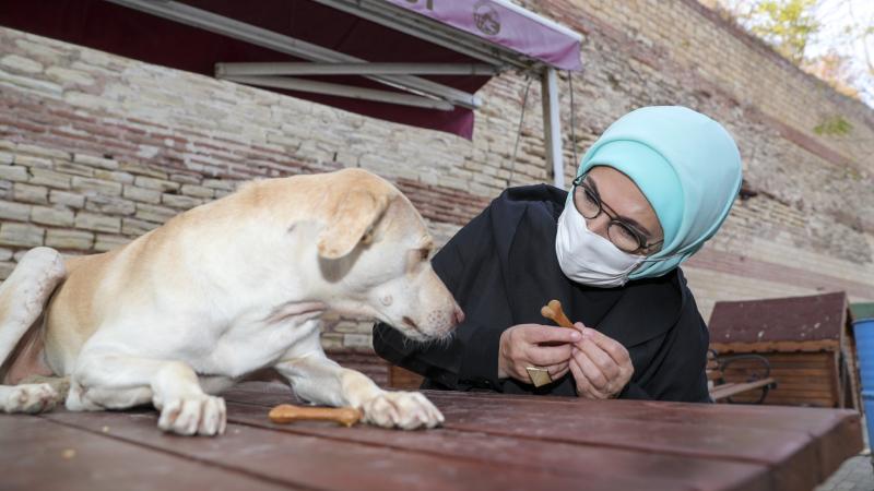 Emine Erdoğan, engelli köpek 'Leblebi'yi sahiplendi