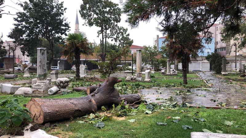 Tekirdağ'ı hortum vurdu: Ağaçları devirdi, çatıları uçurdu