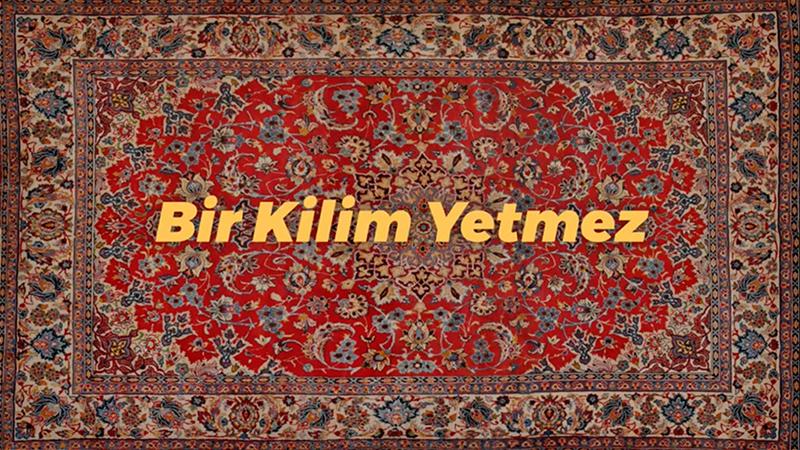 Saadet Partisi'nden dolar videosu: "Bir kilim yetmez"