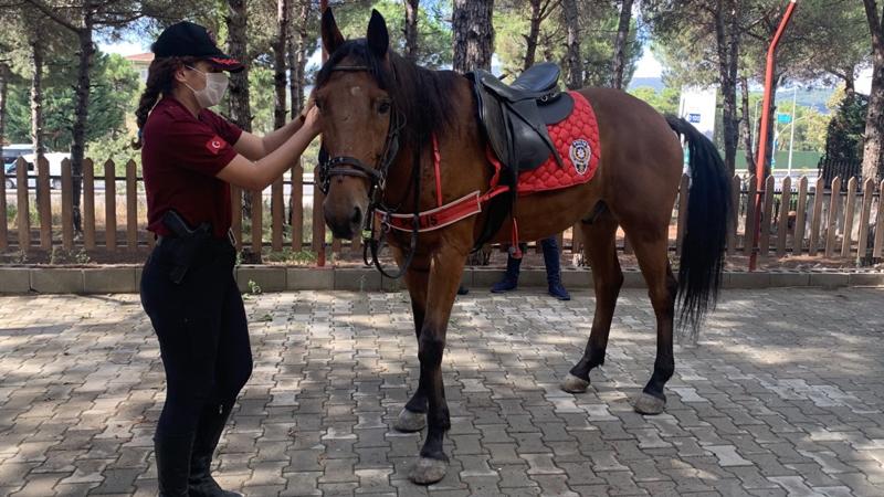 Atlı polislerden mangal denetimi