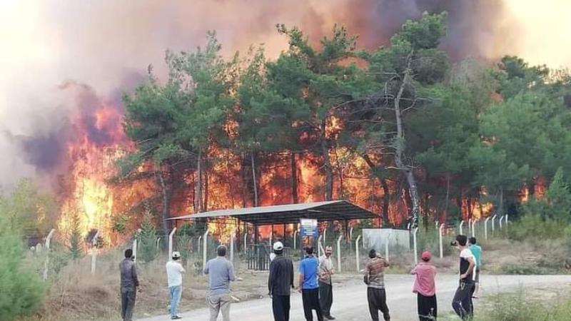 Kahramanmaraş'ta orman yangını: 35 hektar kül oluyor