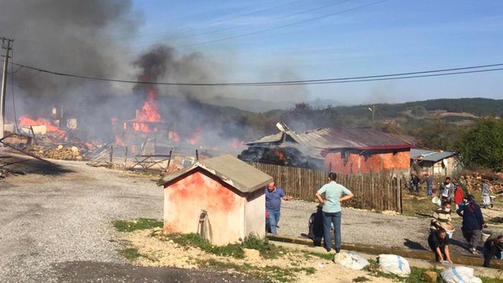 Bolu'nun Kuzfındık köyünde yangın: Bir evde çıkan yangın çevredeki evlere sıçradı