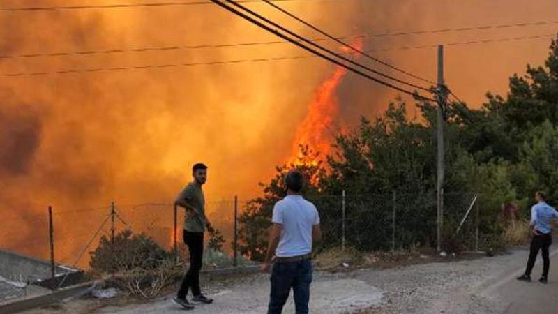 Hatay ve Mersin'de yangınlar sürüyor, Adana'daki yangın kontrol altına alındı