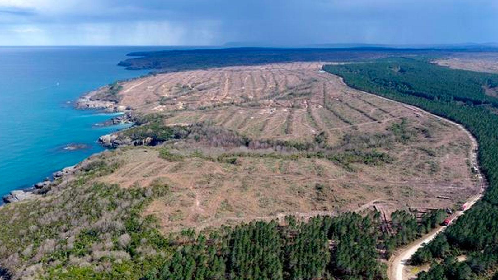 Sinop’ta yapılacak santral için hazırlanan ÇED raporu, olmayan sözleşmeye dayandırıldı