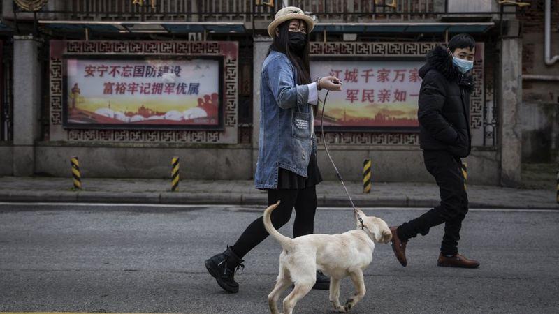 Çin kasabasında köpek gezdirme yasağı: Üç kez ihlal edenlerin köpeği öldürülecek