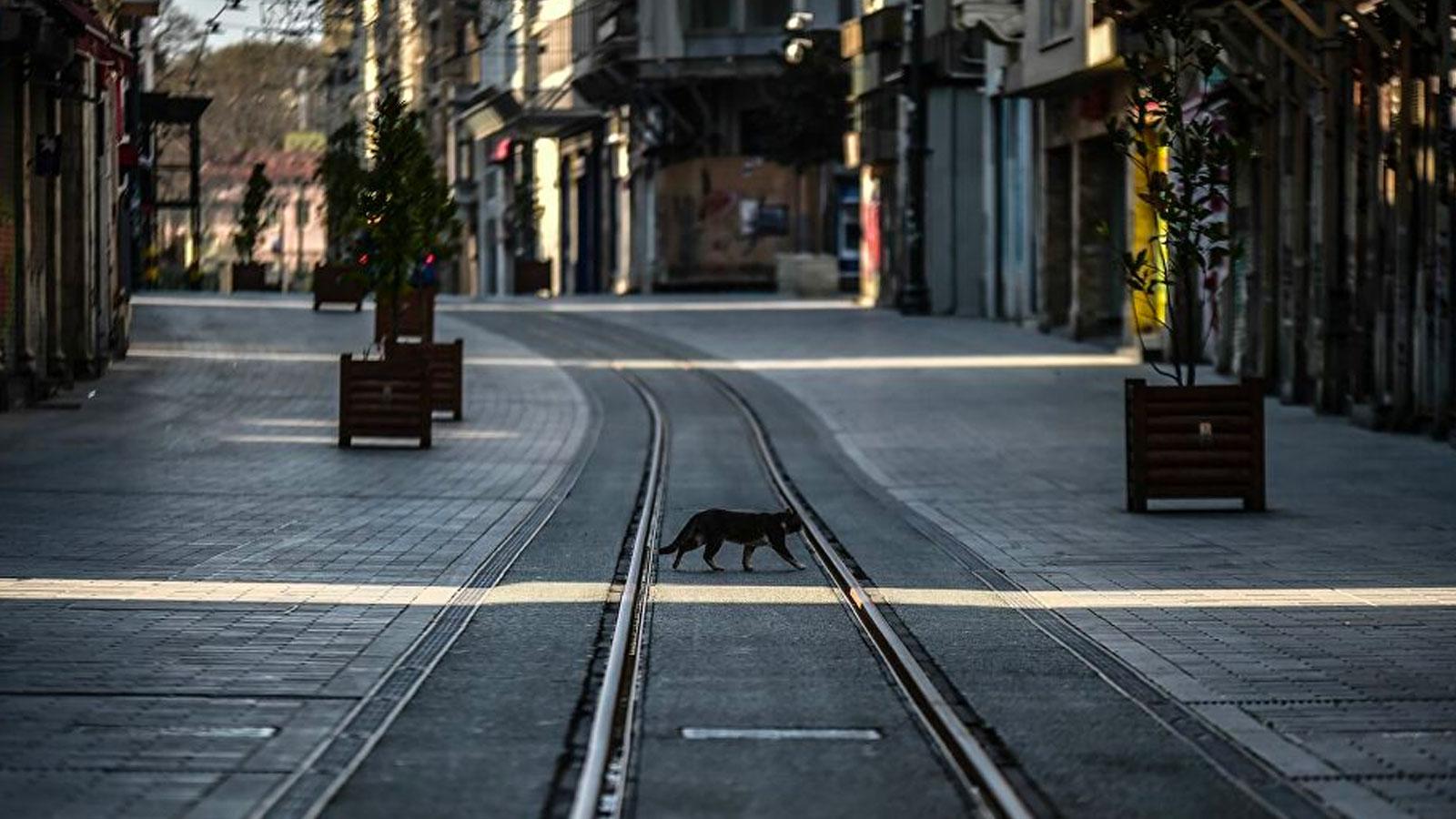 Türkiye genelinde uygulanan 14 saatlik sokağa çıkma kısıtlaması sona erdi