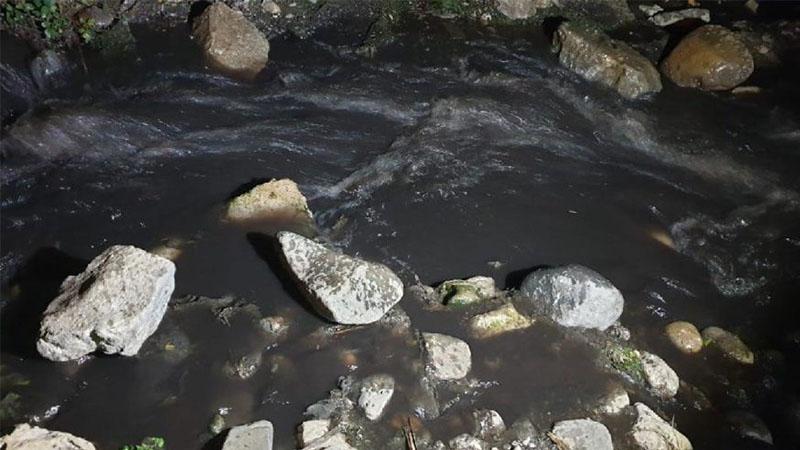 İznik Gölü'ne simsiyah su aktı