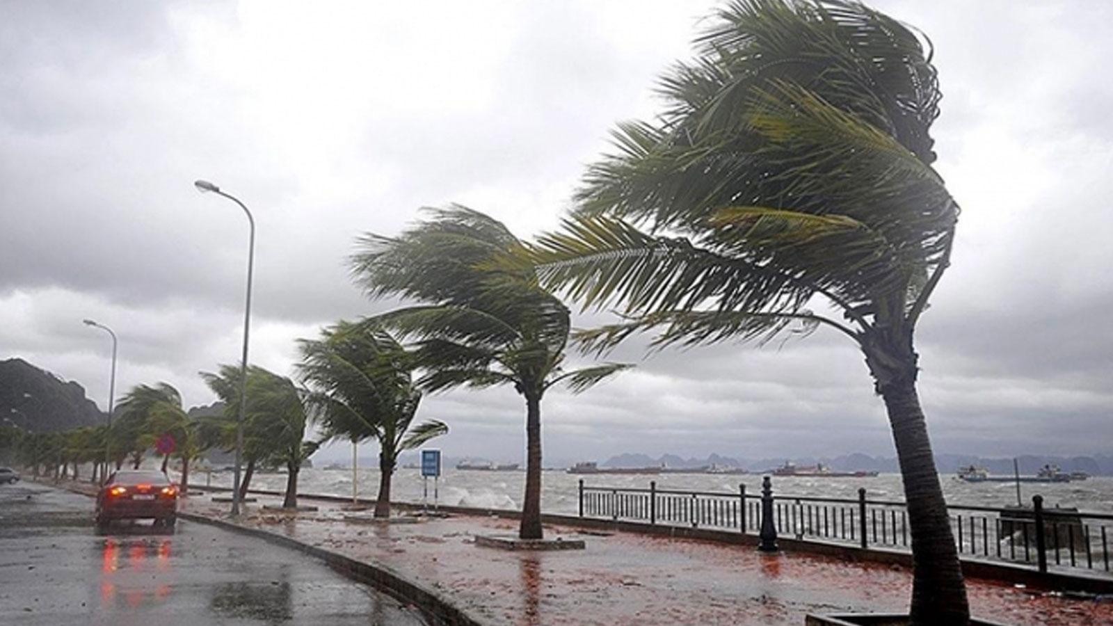 Meteoroloji'den iki bölgeye, sağanak, sis, pus, buzlanma, don ve fırtına uyarısı: Ağaç ve direk devrilmesi olabilir, ulaşımda aksamalar yaşanabilir