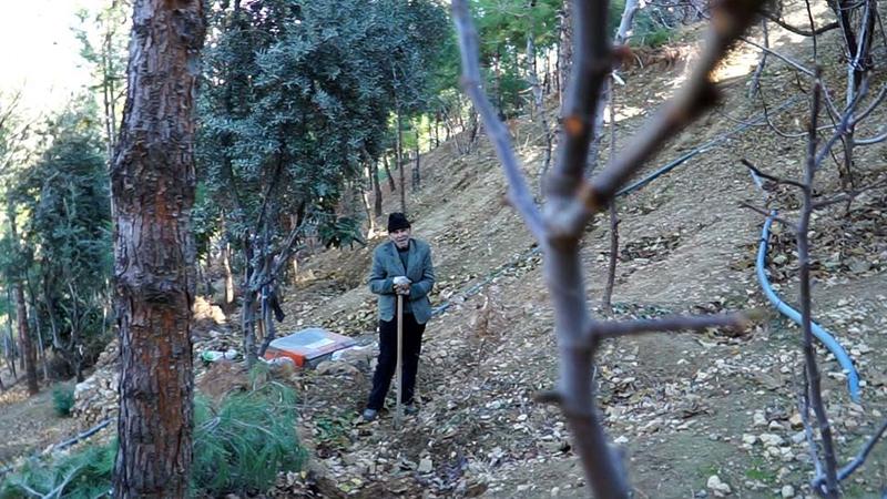 Mardin'de bir vatandaş, 10 yılda çöplüğü ormana çevirdi