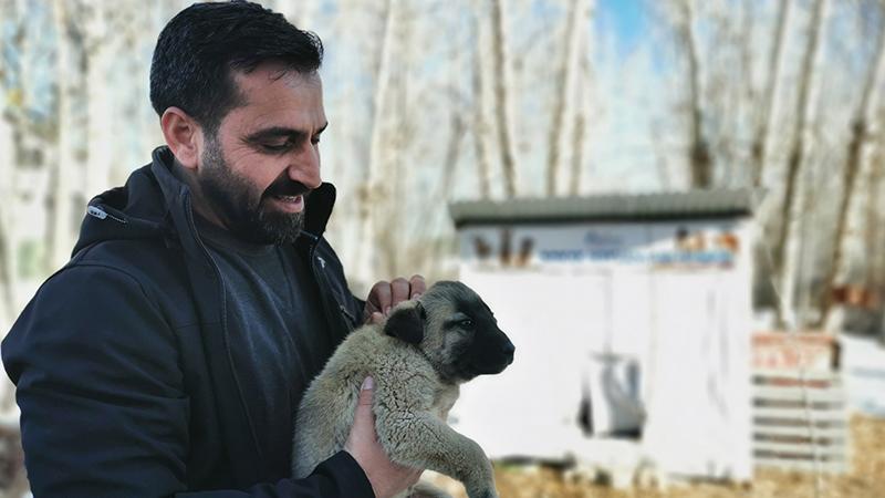 Ovacık Belediye Başkanı, sokak hayvanlarının ihtiyaçlarını karşılamak için makam aracını sattı: Araba olmadan da gezebiliyoruz