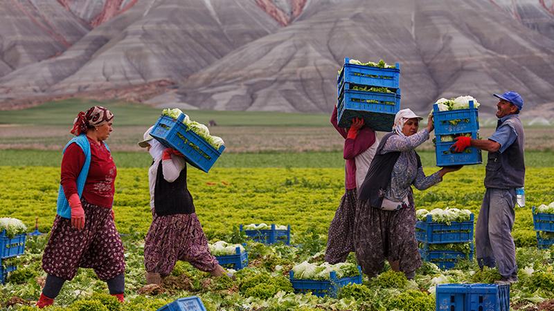 Kayıt dışı işçi sayısı 7,5 milyona ulaştı 