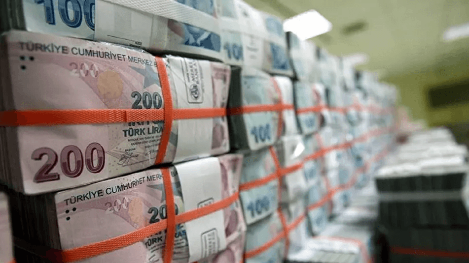 2021'de kalkınma ajanslarına 331 milyon lira ödenek