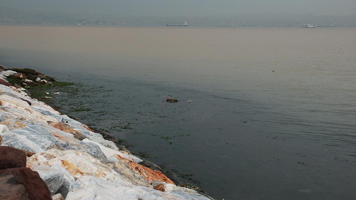 İzmir Körfezi'nin rengi değişti 