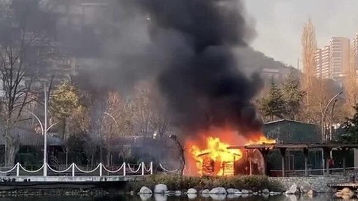 Bahçeşehir Gölet'te yangın çıktı 